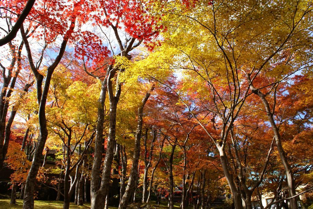 Yutorelo-an Annex Ryokan 4*